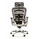 ERGO-4-FM-04.webp