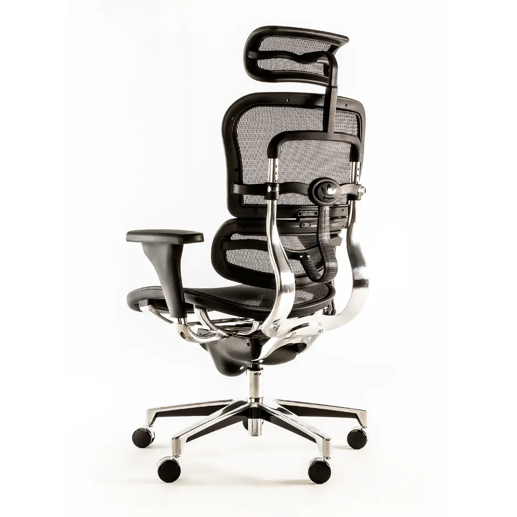 ERGO-4-FM-06.webp